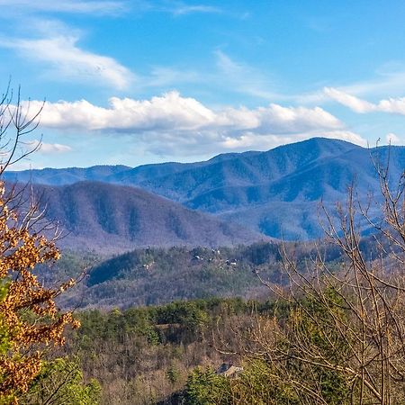 Baskins Creek Condos IIガトリンバーグ エクステリア 写真