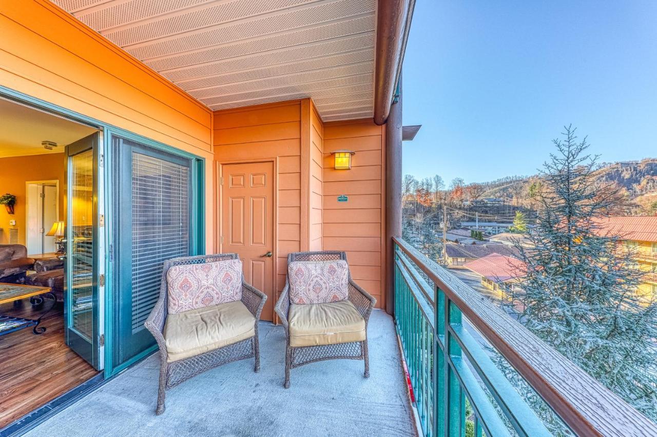 Baskins Creek Condos IIガトリンバーグ 部屋 写真