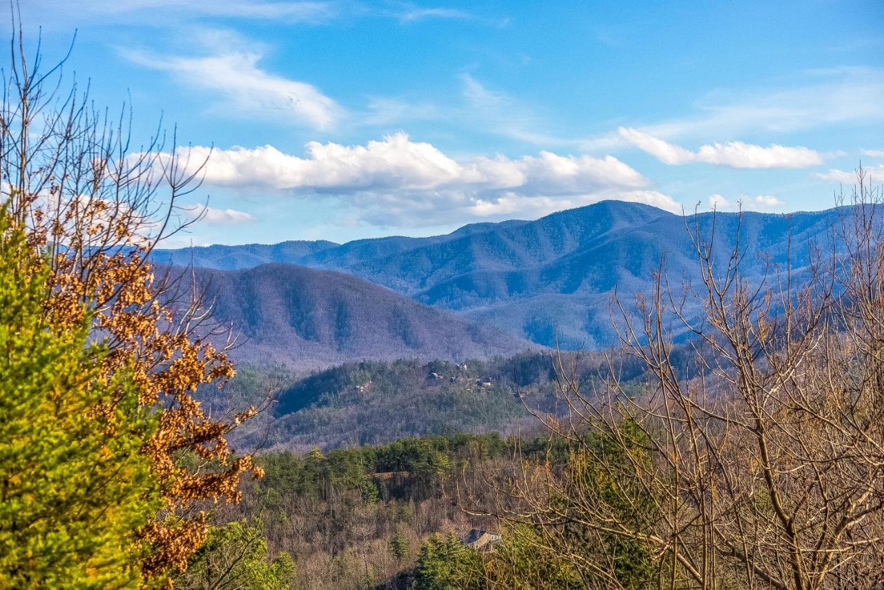 Baskins Creek Condos IIガトリンバーグ エクステリア 写真